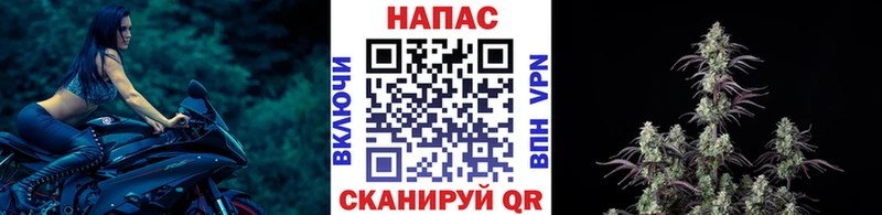 Гашиш Гдов