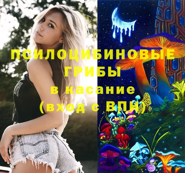 МДПВ Белокуриха