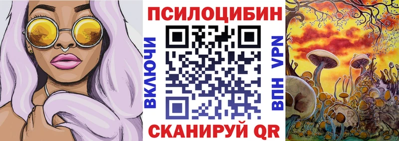 где продают   Гдов  Галлюциногенные грибы Magic Shrooms 